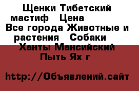  Щенки Тибетский мастиф › Цена ­ 50 000 - Все города Животные и растения » Собаки   . Ханты-Мансийский,Пыть-Ях г.